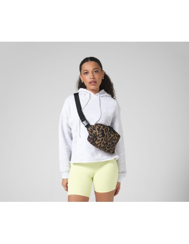 BAG-BG197-Leopard Print Cross Body Bag